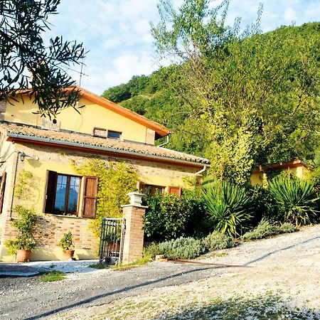 Villa Mischianti غوبيو المظهر الخارجي الصورة