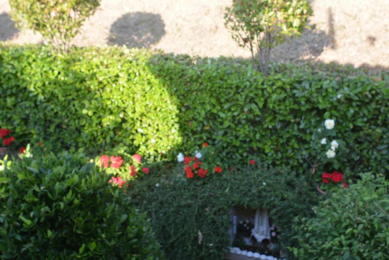 Villa Mischianti غوبيو المظهر الخارجي الصورة