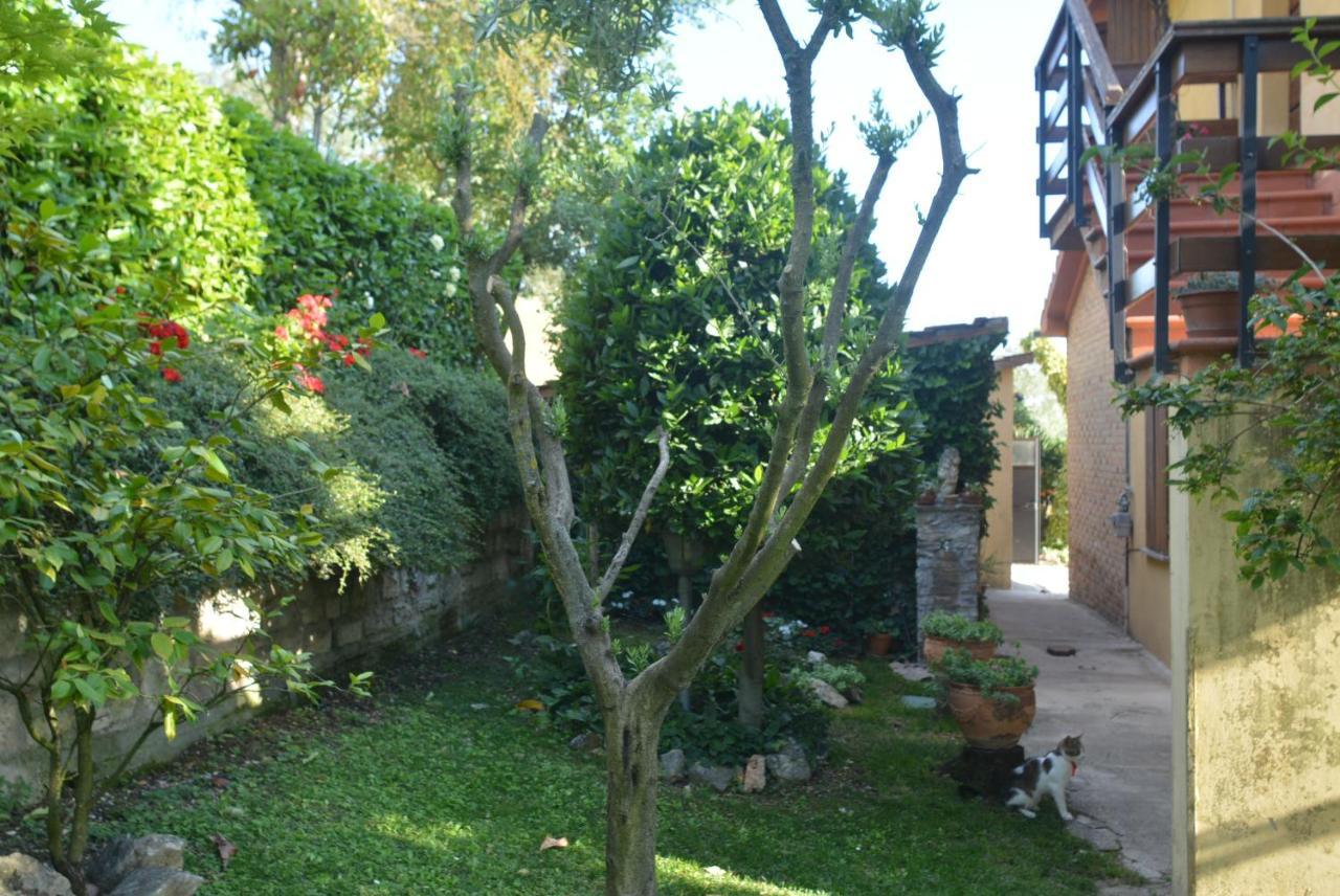 Villa Mischianti غوبيو المظهر الخارجي الصورة