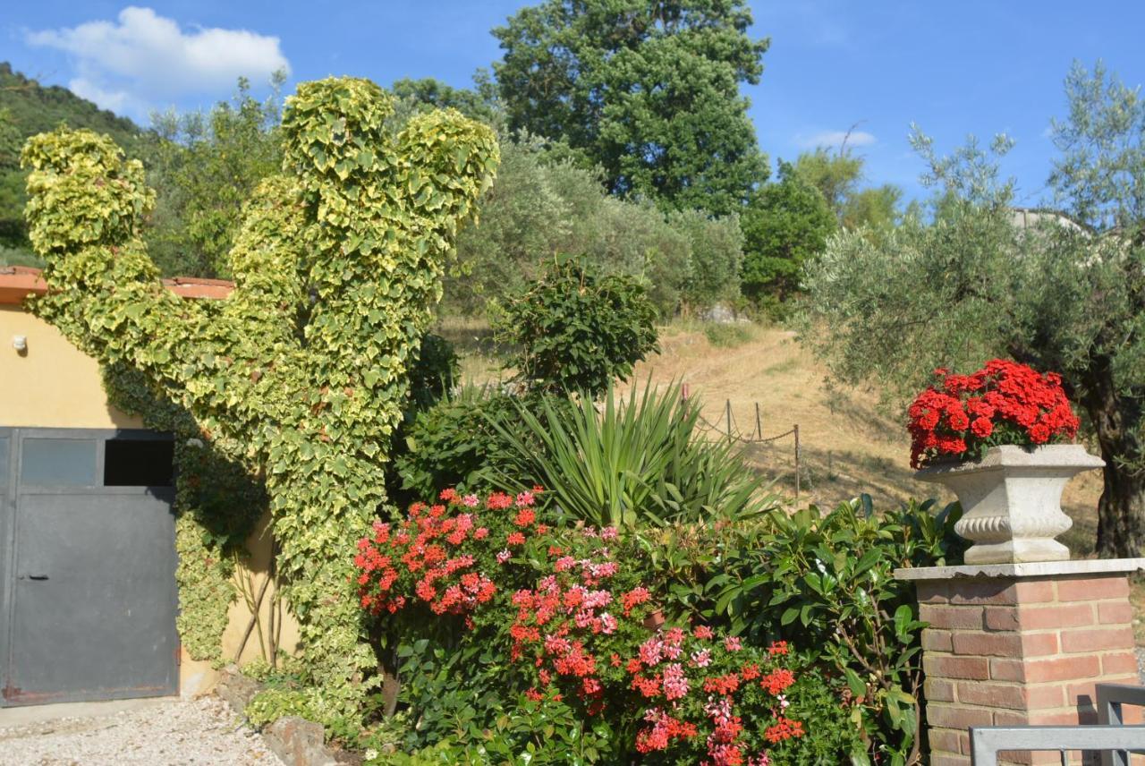 Villa Mischianti غوبيو المظهر الخارجي الصورة