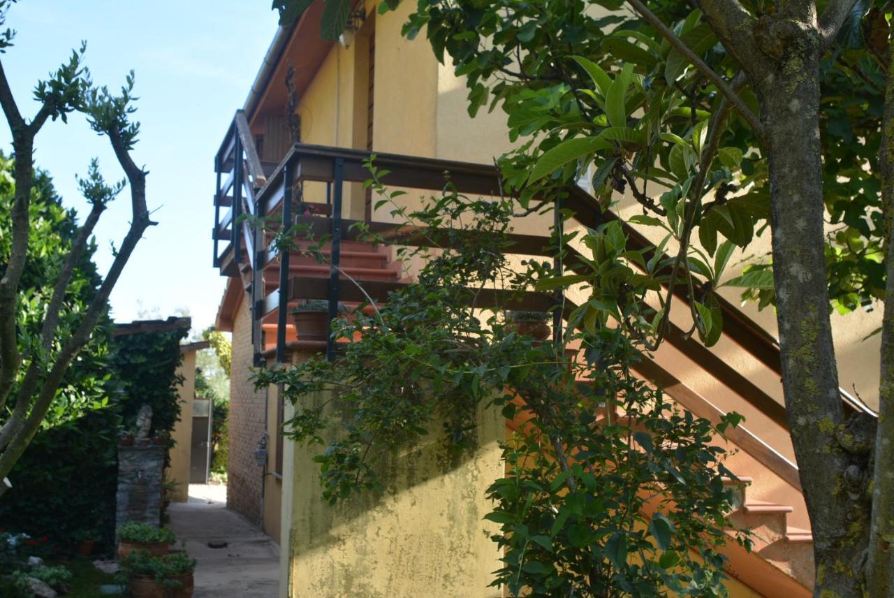 Villa Mischianti غوبيو المظهر الخارجي الصورة