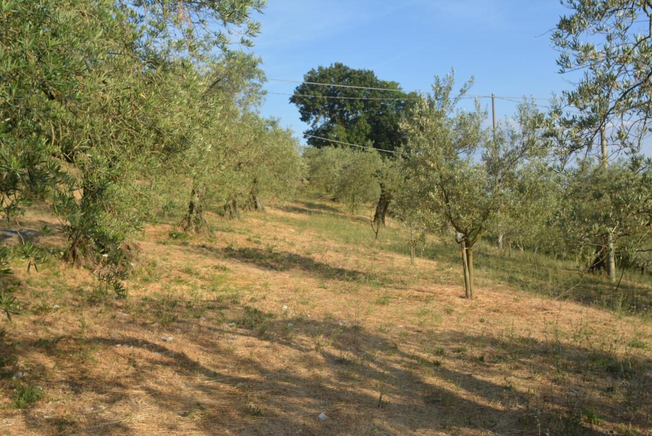 Villa Mischianti غوبيو المظهر الخارجي الصورة