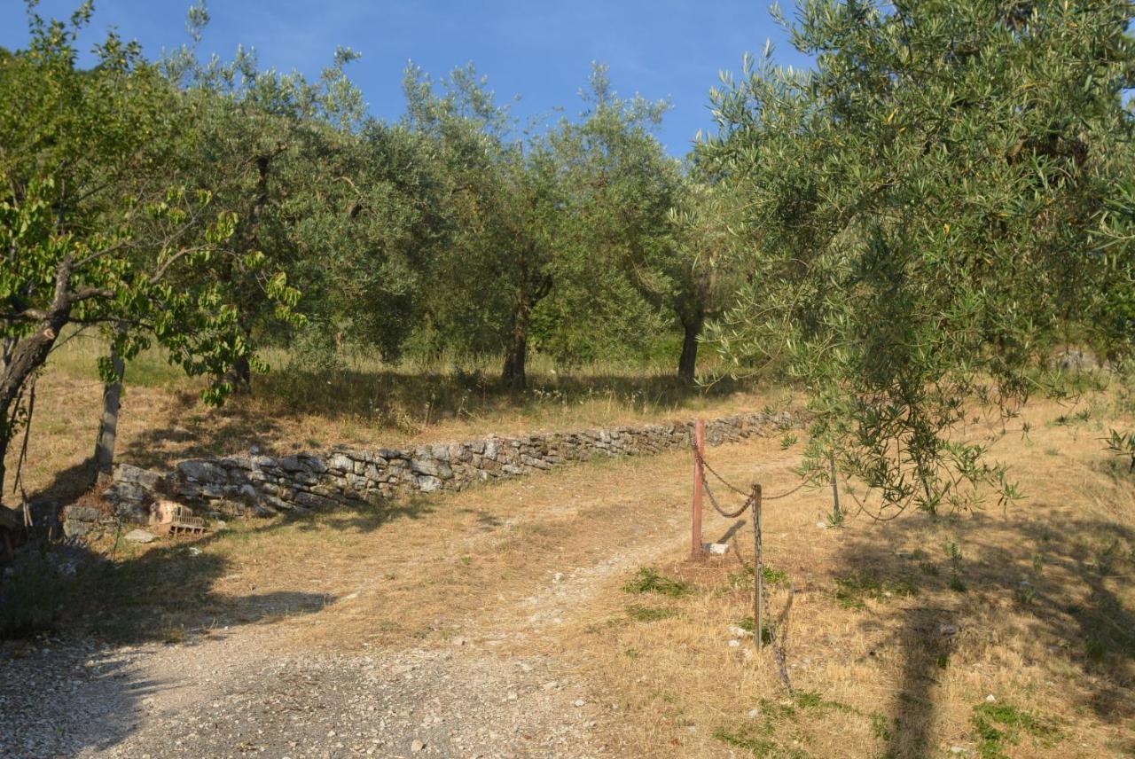 Villa Mischianti غوبيو المظهر الخارجي الصورة
